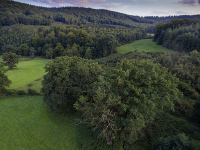 Dateiname=Landschaft_Aussicht_Wiedtal_10.jpg
Dateigröße=9238KB
Abmessungen: 3992x2992
hinzugefügt am: 25. Januar 2018 Landschaft_Aussicht_Wiedtal_10.jpg