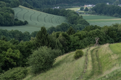 Dateiname=Landschaft_Aussicht_Wiedtal_100.jpg
Dateigröße=2170KB
Abmessungen: 3000x2003
hinzugefügt am: 25. Januar 2018 Landschaft_Aussicht_Wiedtal_100.jpg