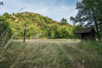 Dateiname=Landschaft_Aussicht_Wiedtal_101.jpg
Dateigröße=2220KB
Abmessungen: 3000x2003
hinzugefügt am: 25. Januar 2018 Landschaft_Aussicht_Wiedtal_101.jpg