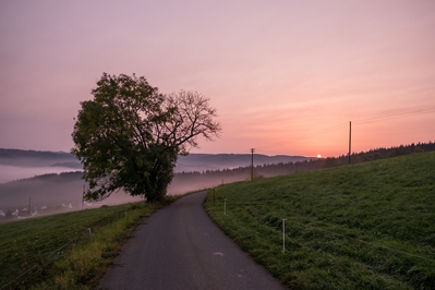 Dateiname=Landschaft_Aussicht_Wiedtal_103.jpg
Dateigröße=4522KB
Abmessungen: 4896x3264
hinzugefügt am: 25. Januar 2018 Landschaft_Aussicht_Wiedtal_103.jpg