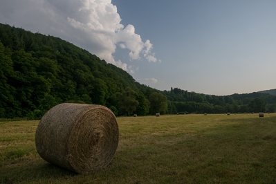 Dateiname=Landschaft_Aussicht_Wiedtal_105.jpg
Dateigröße=1540KB
Abmessungen: 3000x2000
hinzugefügt am: 25. Januar 2018 Landschaft_Aussicht_Wiedtal_105.jpg
