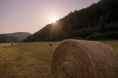 Dateiname=Landschaft_Aussicht_Wiedtal_106.jpg
Dateigröße=1694KB
Abmessungen: 3000x2000
hinzugefügt am: 25. Januar 2018 Landschaft_Aussicht_Wiedtal_106.jpg