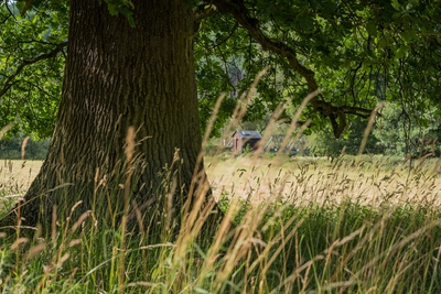 Landschaft_Aussicht_Wiedtal_108.jpg