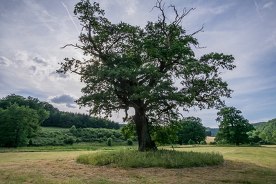 Dateiname=Landschaft_Aussicht_Wiedtal_109.jpg
Dateigröße=1745KB
Abmessungen: 3000x2000
hinzugefügt am: 25. Januar 2018 Landschaft_Aussicht_Wiedtal_109.jpg