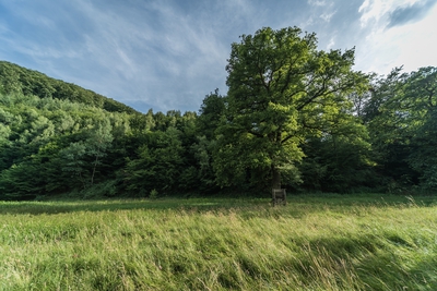 Dateiname=Landschaft_Aussicht_Wiedtal_111.jpg
Dateigröße=2328KB
Abmessungen: 3000x2003
hinzugefügt am: 25. Januar 2018 Landschaft_Aussicht_Wiedtal_111.jpg