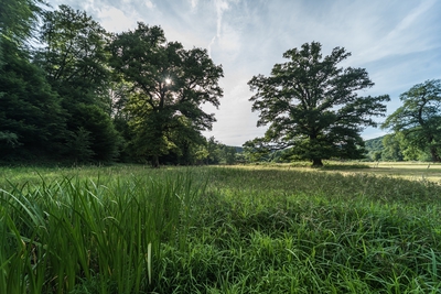 Dateiname=Landschaft_Aussicht_Wiedtal_112.jpg
Dateigröße=2253KB
Abmessungen: 3000x2003
hinzugefügt am: 25. Januar 2018 Landschaft_Aussicht_Wiedtal_112.jpg