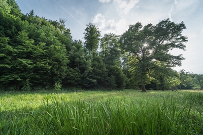 Dateiname=Landschaft_Aussicht_Wiedtal_113.jpg
Dateigröße=2179KB
Abmessungen: 3000x2003
hinzugefügt am: 25. Januar 2018 Landschaft_Aussicht_Wiedtal_113.jpg