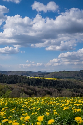 Landschaft_Aussicht_Wiedtal_116.jpg