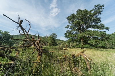 Dateiname=Landschaft_Aussicht_Wiedtal_117.jpg
Dateigröße=2405KB
Abmessungen: 3000x2003
hinzugefügt am: 25. Januar 2018 Landschaft_Aussicht_Wiedtal_117.jpg