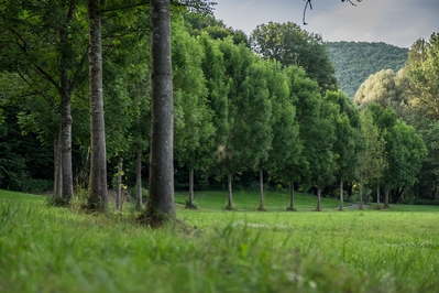 Dateiname=Landschaft_Aussicht_Wiedtal_122.jpg
Dateigröße=1723KB
Abmessungen: 3000x2000
hinzugefügt am: 25. Januar 2018 Landschaft_Aussicht_Wiedtal_122.jpg