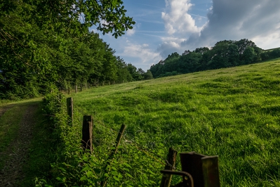 Dateiname=Landschaft_Aussicht_Wiedtal_123.jpg
Dateigröße=2155KB
Abmessungen: 3000x2000
hinzugefügt am: 25. Januar 2018 Landschaft_Aussicht_Wiedtal_123.jpg