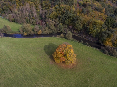 Dateiname=Landschaft_Aussicht_Wiedtal_14.jpg
Dateigröße=5205KB
Abmessungen: 3807x2853
hinzugefügt am: 25. Januar 2018 Landschaft_Aussicht_Wiedtal_14.jpg
