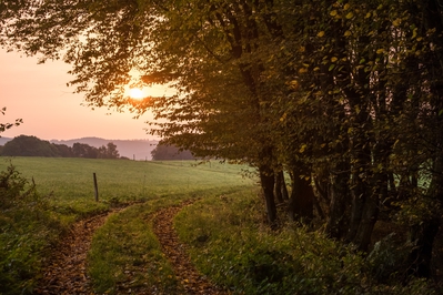 Dateiname=Landschaft_Aussicht_Wiedtal_15.jpg
Dateigröße=6576KB
Abmessungen: 4896x3264
hinzugefügt am: 25. Januar 2018 Landschaft_Aussicht_Wiedtal_15.jpg