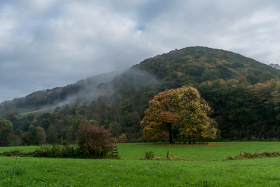 Dateiname=Landschaft_Aussicht_Wiedtal_18.jpg
Dateigröße=9454KB
Abmessungen: 5802x3868
hinzugefügt am: 25. Januar 2018 Landschaft_Aussicht_Wiedtal_18.jpg