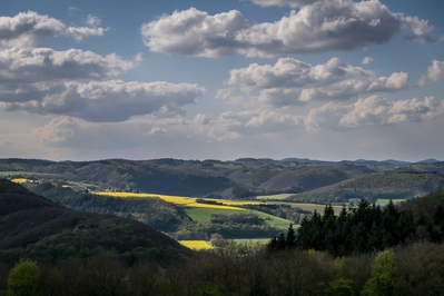 Dateiname=Landschaft_Aussicht_Wiedtal_19.jpg
Dateigröße=931KB
Abmessungen: 3000x2000
hinzugefügt am: 25. Januar 2018 Landschaft_Aussicht_Wiedtal_19.jpg