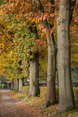 Dateiname=Landschaft_Aussicht_Wiedtal_23.jpg
Dateigröße=8395KB
Abmessungen: 3521x5274
hinzugefügt am: 25. Januar 2018 Landschaft_Aussicht_Wiedtal_23.jpg