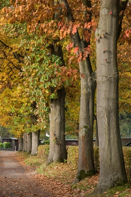 Landschaft_Aussicht_Wiedtal_23.jpg