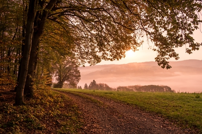 Dateiname=Landschaft_Aussicht_Wiedtal_33.jpg
Dateigröße=7839KB
Abmessungen: 4896x3264
hinzugefügt am: 25. Januar 2018 Landschaft_Aussicht_Wiedtal_33.jpg