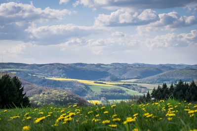 Dateiname=Landschaft_Aussicht_Wiedtal_38.jpg
Dateigröße=1013KB
Abmessungen: 3000x2000
hinzugefügt am: 25. Januar 2018 Landschaft_Aussicht_Wiedtal_38.jpg