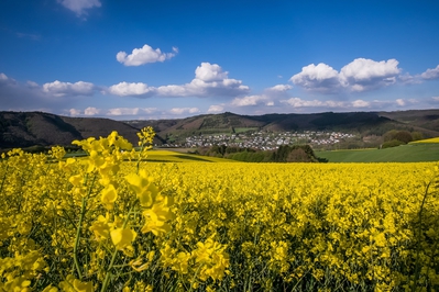 Dateiname=Landschaft_Aussicht_Wiedtal_52.jpg
Dateigröße=1733KB
Abmessungen: 3000x2000
hinzugefügt am: 25. Januar 2018 Landschaft_Aussicht_Wiedtal_52.jpg