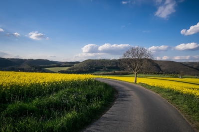 Dateiname=Landschaft_Aussicht_Wiedtal_53.jpg
Dateigröße=1414KB
Abmessungen: 3000x2000
hinzugefügt am: 25. Januar 2018 Landschaft_Aussicht_Wiedtal_53.jpg