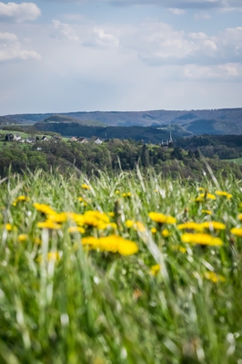 Dateiname=Landschaft_Aussicht_Wiedtal_56.jpg
Dateigröße=937KB
Abmessungen: 2000x3000
hinzugefügt am: 25. Januar 2018 Landschaft_Aussicht_Wiedtal_56.jpg