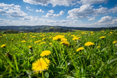 Dateiname=Landschaft_Aussicht_Wiedtal_68.jpg
Dateigröße=1273KB
Abmessungen: 3000x2000
hinzugefügt am: 25. Januar 2018 Landschaft_Aussicht_Wiedtal_68.jpg
