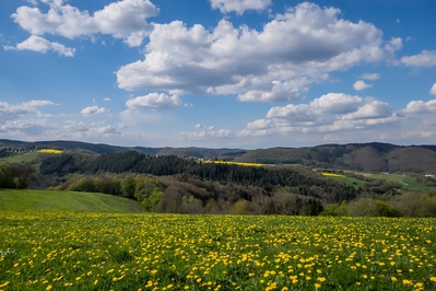 Dateiname=Landschaft_Aussicht_Wiedtal_7.jpg
Dateigröße=1381KB
Abmessungen: 3000x2000
hinzugefügt am: 25. Januar 2018 Landschaft_Aussicht_Wiedtal_7.jpg