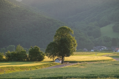 Dateiname=Landschaft_Aussicht_Wiedtal_79.jpg
Dateigröße=1107KB
Abmessungen: 3000x2000
hinzugefügt am: 25. Januar 2018 Landschaft_Aussicht_Wiedtal_79.jpg