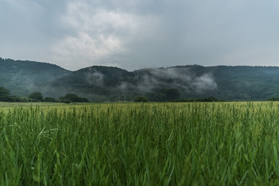 Dateiname=Landschaft_Aussicht_Wiedtal_87.jpg
Dateigröße=954KB
Abmessungen: 3000x2003
hinzugefügt am: 25. Januar 2018 Landschaft_Aussicht_Wiedtal_87.jpg