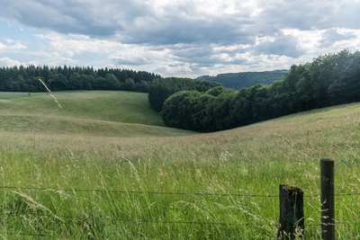 Dateiname=Landschaft_Aussicht_Wiedtal_88.jpg
Dateigröße=1896KB
Abmessungen: 3000x2003
hinzugefügt am: 25. Januar 2018 Landschaft_Aussicht_Wiedtal_88.jpg