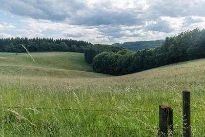 Landschaft_Aussicht_Wiedtal_88.jpg