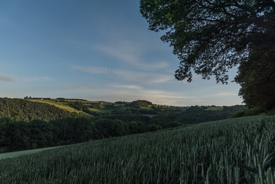 Dateiname=Landschaft_Aussicht_Wiedtal_93.jpg
Dateigröße=1499KB
Abmessungen: 3000x2003
hinzugefügt am: 25. Januar 2018 Landschaft_Aussicht_Wiedtal_93.jpg