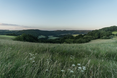 Dateiname=Landschaft_Aussicht_Wiedtal_96.jpg
Dateigröße=1606KB
Abmessungen: 3000x2003
hinzugefügt am: 25. Januar 2018 Landschaft_Aussicht_Wiedtal_96.jpg