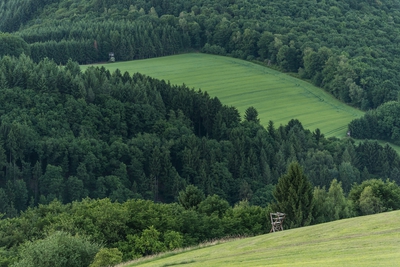 Dateiname=Landschaft_Aussicht_Wiedtal_98.jpg
Dateigröße=1854KB
Abmessungen: 3000x2003
hinzugefügt am: 25. Januar 2018 Landschaft_Aussicht_Wiedtal_98.jpg