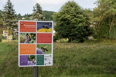 Dateiname=Natur_im_Wiedtal_11.jpg
Dateigröße=1140KB
Abmessungen: 3000x2000
hinzugefügt am: 25. Januar 2018 Natur_im_Wiedtal_11.jpg