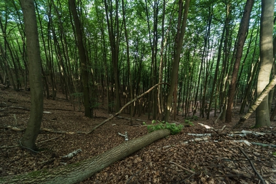 Dateiname=Natur_im_Wiedtal_12.jpg
Dateigröße=2409KB
Abmessungen: 3000x2003
hinzugefügt am: 25. Januar 2018 Natur_im_Wiedtal_12.jpg