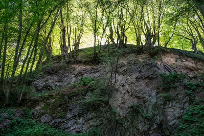 Dateiname=Natur_im_Wiedtal_13.jpg
Dateigröße=2593KB
Abmessungen: 3000x2000
hinzugefügt am: 25. Januar 2018 Natur_im_Wiedtal_13.jpg