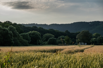 Dateiname=Natur_im_Wiedtal_14.jpg
Dateigröße=1231KB
Abmessungen: 3000x2000
hinzugefügt am: 25. Januar 2018 Natur_im_Wiedtal_14.jpg