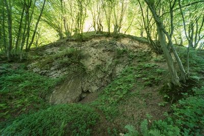 Dateiname=Natur_im_Wiedtal_17.jpg
Dateigröße=2607KB
Abmessungen: 3000x2003
hinzugefügt am: 25. Januar 2018 Natur_im_Wiedtal_17.jpg