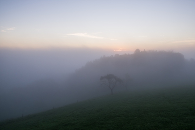 Dateiname=Natur_im_Wiedtal_21.jpg
Dateigröße=2895KB
Abmessungen: 4511x3007
hinzugefügt am: 25. Januar 2018 Natur_im_Wiedtal_21.jpg