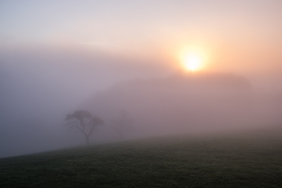 Natur_im_Wiedtal_24.jpg