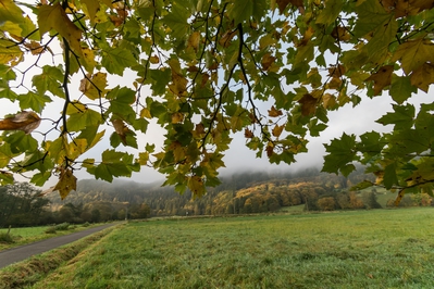 Dateiname=Natur_im_Wiedtal_25.jpg
Dateigröße=8802KB
Abmessungen: 6000x4000
hinzugefügt am: 25. Januar 2018 Natur_im_Wiedtal_25.jpg