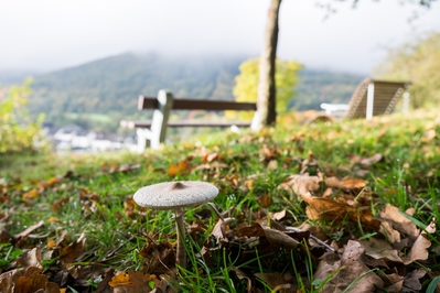 Dateiname=Natur_im_Wiedtal_31.jpg
Dateigröße=3890KB
Abmessungen: 4896x3264
hinzugefügt am: 25. Januar 2018 Natur_im_Wiedtal_31.jpg