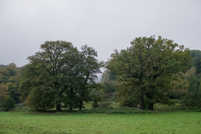 Dateiname=Natur_im_Wiedtal_32.jpg
Dateigröße=5685KB
Abmessungen: 4896x3264
hinzugefügt am: 25. Januar 2018 Natur_im_Wiedtal_32.jpg