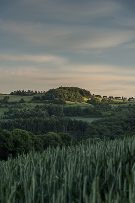Dateiname=Natur_im_Wiedtal_34.jpg
Dateigröße=966KB
Abmessungen: 2003x3000
hinzugefügt am: 25. Januar 2018 Natur_im_Wiedtal_34.jpg