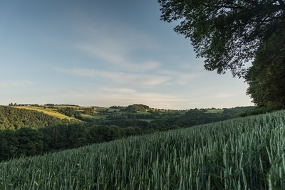 Dateiname=Natur_im_Wiedtal_44.jpg
Dateigröße=1488KB
Abmessungen: 3000x2003
hinzugefügt am: 25. Januar 2018 Natur_im_Wiedtal_44.jpg