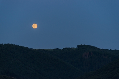 Natur_im_Wiedtal_47.jpg