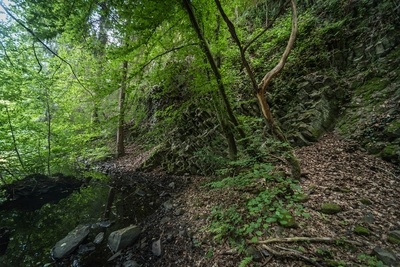 Dateiname=Natur_im_Wiedtal_5.jpg
Dateigröße=2537KB
Abmessungen: 3000x2003
hinzugefügt am: 25. Januar 2018 Natur_im_Wiedtal_5.jpg