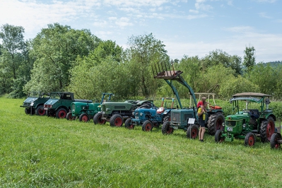 Autofreier_Radwandertag_WIEDer_ins_TAL_282129.jpg